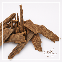 سيوفي للاستخدام اليومي التوله