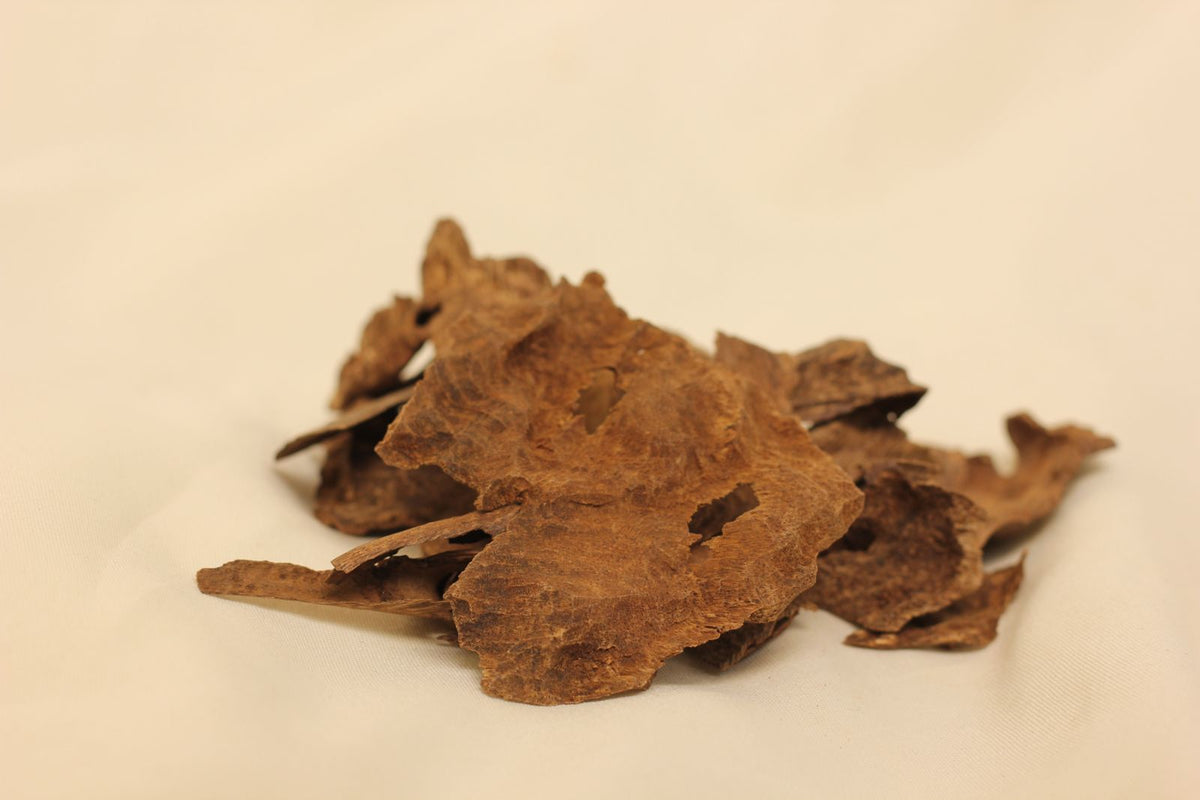 عود كمبودي جار غابات بايلين