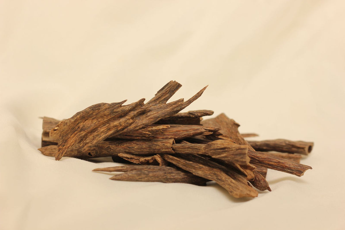 عود سيوفي انفال التوله